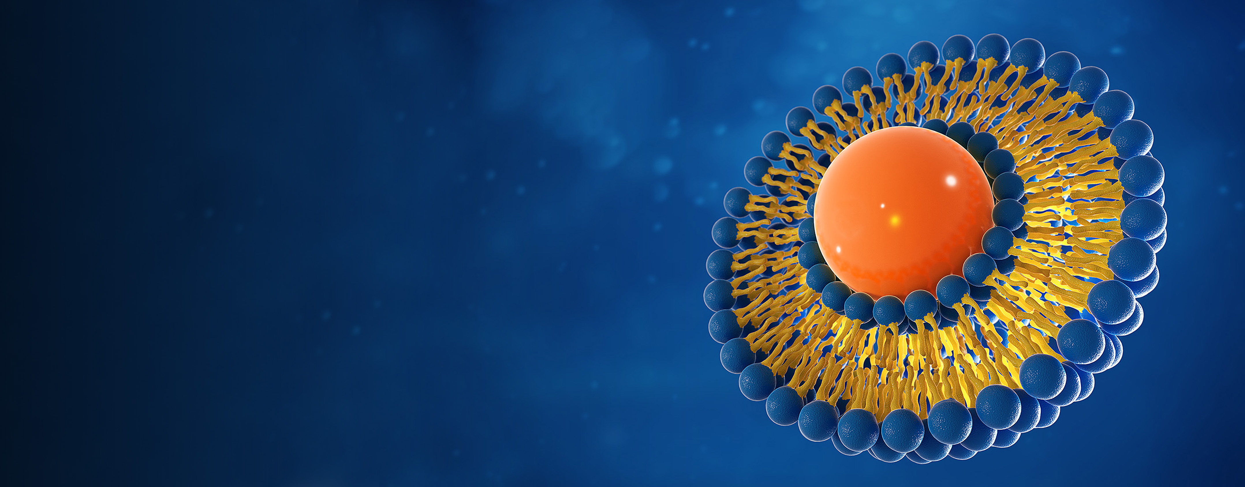 Lipozomal 2